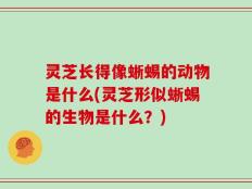 灵芝长得像蜥蜴的动物是什么(灵芝形似蜥蜴的生物是什么？)