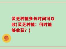 灵芝种植多长时间可以收(灵芝种植：何时能够收获？)