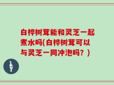 白桦树茸能和灵芝一起煮水吗(白桦树茸可以与灵芝一同冲泡吗？)