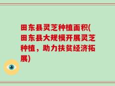 田东县灵芝种植面积(田东县大规模开展灵芝种植，助力扶贫经济拓展)
