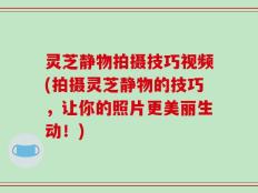 灵芝静物拍摄技巧视频(拍摄灵芝静物的技巧，让你的照片更美丽生动！)