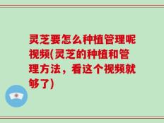 灵芝要怎么种植管理呢视频(灵芝的种植和管理方法，看这个视频就够了)
