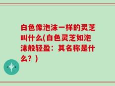 白色像泡沫一样的灵芝叫什么(白色灵芝如泡沫般轻盈：其名称是什么？)