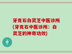 牙克石白灵芝中医诊所(牙克石中医诊所：白灵芝的神奇功效)