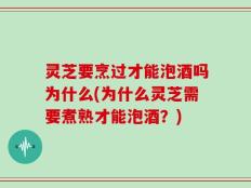 灵芝要烹过才能泡酒吗为什么(为什么灵芝需要煮熟才能泡酒？)