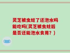 灵芝被虫蛀了还泡水吗能吃吗(灵芝被虫蛀后是否还能泡水食用？)