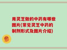 用灵芝做的中药有哪些图片(常见灵芝中药的制剂形式及图片介绍)