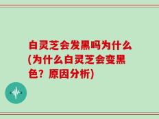 白灵芝会发黑吗为什么(为什么白灵芝会变黑色？原因分析)