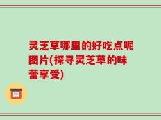 灵芝草哪里的好吃点呢图片(探寻灵芝草的味蕾享受)