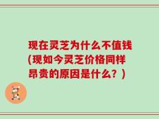 现在灵芝为什么不值钱(现如今灵芝价格同样昂贵的原因是什么？)