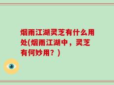 烟雨江湖灵芝有什么用处(烟雨江湖中，灵芝有何妙用？)