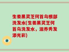 生姜黑灵芝何首乌根部洗发水(生姜黑灵芝何首乌洗发水，滋养秀发添光彩)
