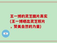 王一博的灵芝图片真实(王一博晒出灵芝照片，赞美自然的力量)