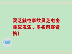 灵芝触电事故灵芝电击事故发生，多名游客受伤)