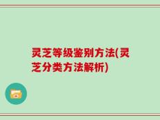 灵芝等级鉴别方法(灵芝分类方法解析)