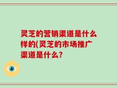 灵芝的营销渠道是什么样的(灵芝的市场推广渠道是什么？
