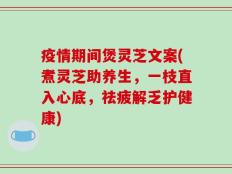 疫情期间煲灵芝文案(煮灵芝助养生，一枝直入心底，祛疲解乏护健康)