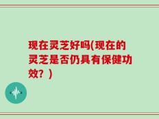 现在灵芝好吗(现在的灵芝是否仍具有保健功效？)