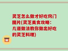灵芝怎么做才好吃窍门图片(灵芝美食攻略：几道做法教你做出好吃的灵芝料理)