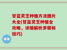 甘蓝灵芝种植方法图片大全(甘蓝灵芝种植全攻略，详细解析步骤和技巧)