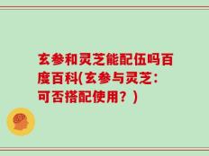 玄参和灵芝能配伍吗百度百科(玄参与灵芝：可否搭配使用？)