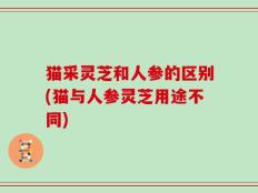 猫采灵芝和人参的区别(猫与人参灵芝用途不同)
