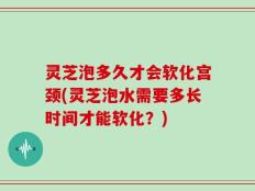 灵芝泡多久才会软化宫颈(灵芝泡水需要多长时间才能软化？)