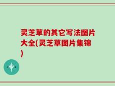 灵芝草的其它写法图片大全(灵芝草图片集锦)