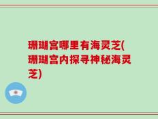 珊瑚宫哪里有海灵芝(珊瑚宫内探寻神秘海灵芝)