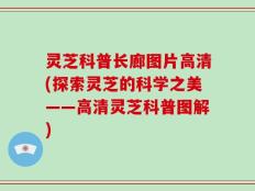 灵芝科普长廊图片高清(探索灵芝的科学之美——高清灵芝科普图解)