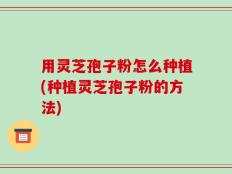 用灵芝孢子粉怎么种植(种植灵芝孢子粉的方法)