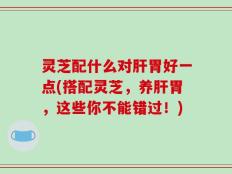 灵芝配什么对肝胃好一点(搭配灵芝，养肝胃，这些你不能错过！)