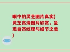 眼中的灵芝图片真实(灵芝高清图片欣赏，呈现自然纹理与细节之美)