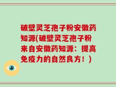 破壁灵芝孢子粉安徽药知源(破壁灵芝孢子粉来自安徽药知源：提高免疫力的自然良方！)