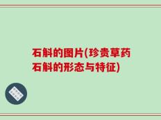石斛的图片(珍贵草药石斛的形态与特征)