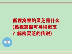 狐狸窝里的灵芝是什么(狐狸窝里可寻得灵芝？解密灵芝的传说)