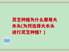 灵芝种植为什么要用大木头(为何选择大木头进行灵芝种植？)