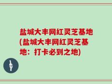 盐城大丰网红灵芝基地(盐城大丰网红灵芝基地：打卡必到之地)