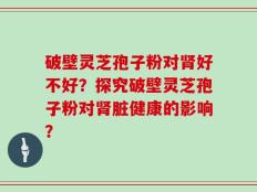 破壁灵芝孢子粉对肾好不好？探究破壁灵芝孢子粉对肾脏健康的影响？