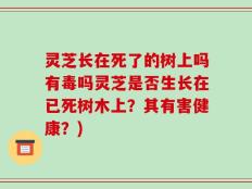 灵芝长在死了的树上吗有毒吗灵芝是否生长在已死树木上？其有害健康？)