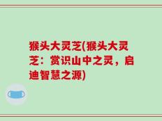 猴头大灵芝(猴头大灵芝：赏识山中之灵，启迪智慧之源)