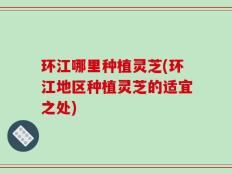 环江哪里种植灵芝(环江地区种植灵芝的适宜之处)