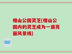 相山公园灵芝(相山公园内的灵芝成为一道亮丽风景线)