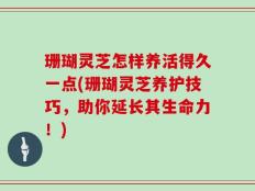 珊瑚灵芝怎样养活得久一点(珊瑚灵芝养护技巧，助你延长其生命力！)