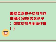 破壁灵芝孢子功效与作用图片(破壁灵芝孢子：强效功效与全面作用！)