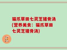猫爪草田七灵芝猪骨汤(营养美食：猫爪草田七灵芝猪骨汤)