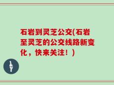 石岩到灵芝公交(石岩至灵芝的公交线路新变化，快来关注！)