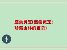 盛棠灵芝(盛棠灵芝：珍藏山林的宝贝)
