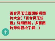 百合灵芝位置图解说图片大全(「百合灵芝位置」详细图解，多张图片带你轻松了解！)