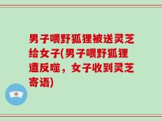 男子喂野狐狸被送灵芝给女子(男子喂野狐狸遭反噬，女子收到灵芝寄语)